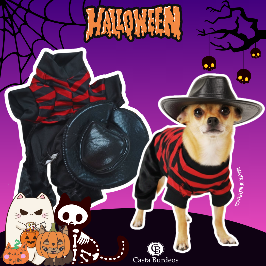 Disfraz  con Sombrero T00