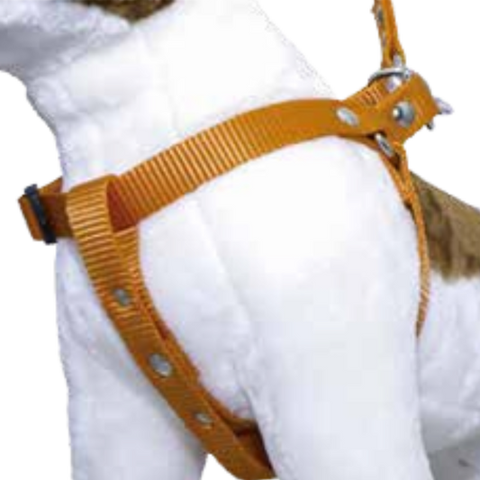 CORREA CON PECHERA AMERICANA 3/4"" MEDIANA