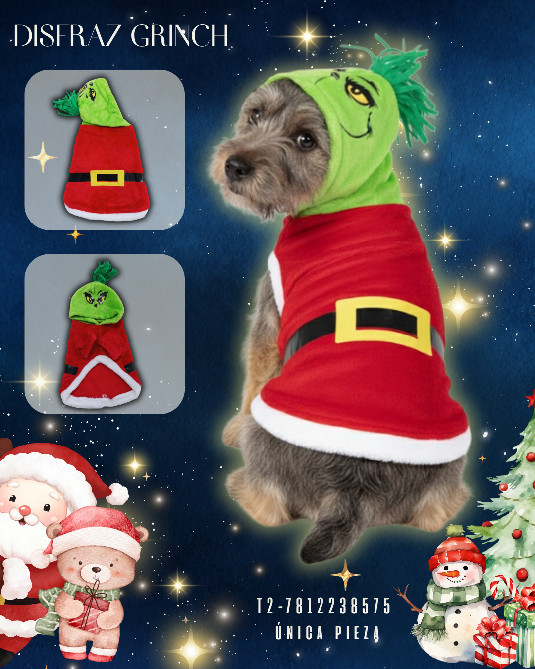 DISFRAZ GRINCH ECO T2