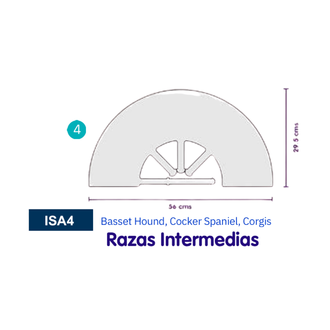 Collar Isabelino Laes Para Mascotas