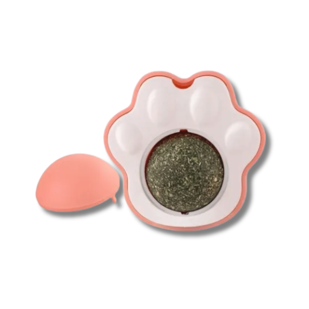 JUGUETE HUELLA CONCATNIP