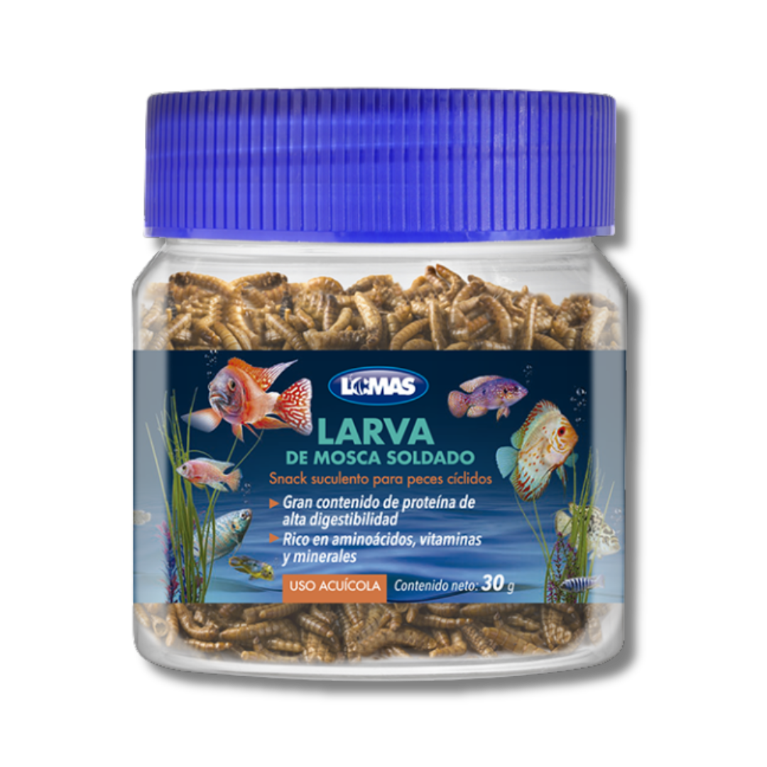 LOMAS LARVA DE MOSCA SOLDADO 30 GRS