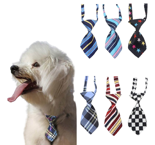 CORBATA PARA MASCOTA, DISEÑOS VARIADOS