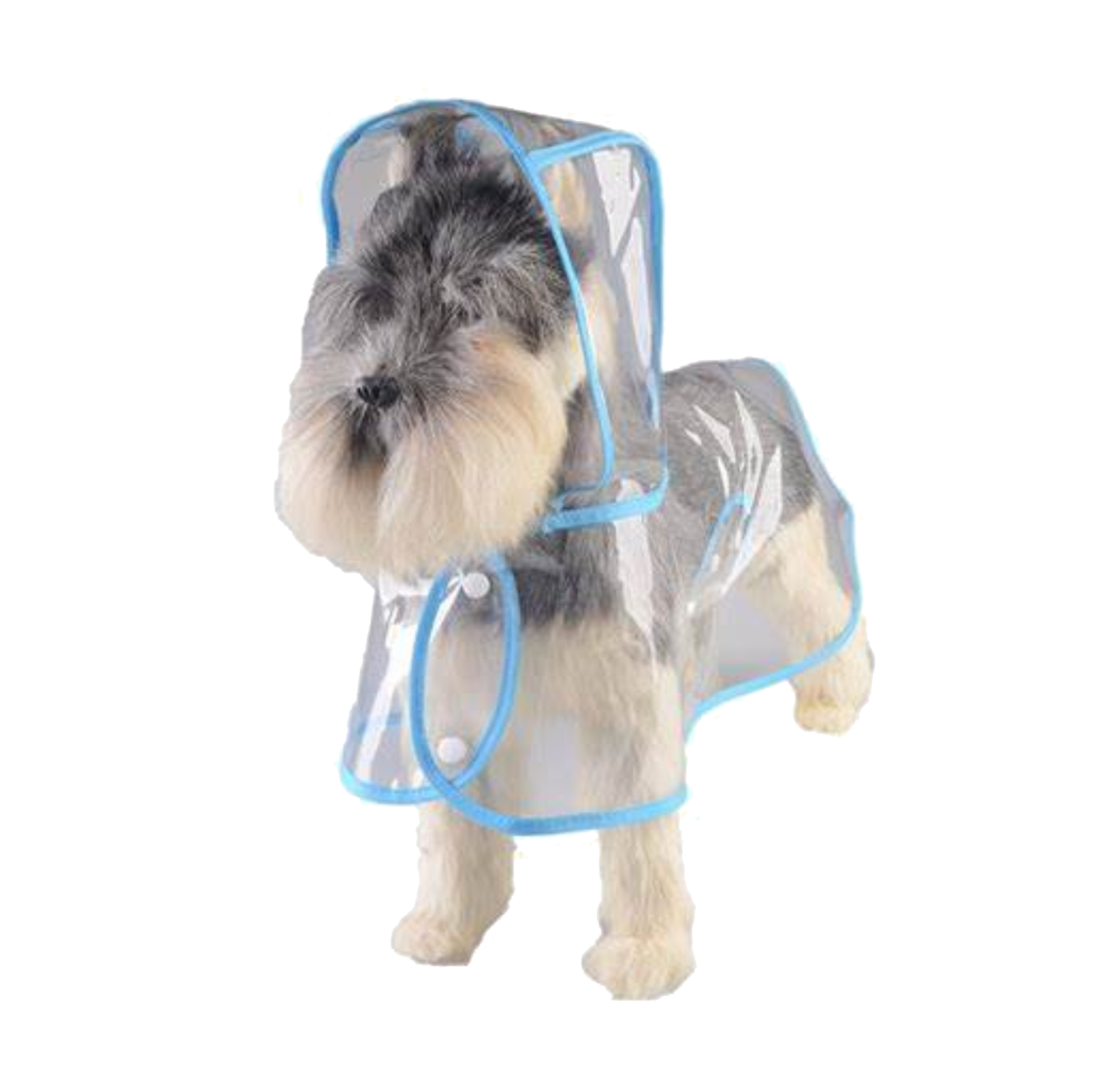 IMPERMEABLE TRANSPARENTE PARA MASCOTA
