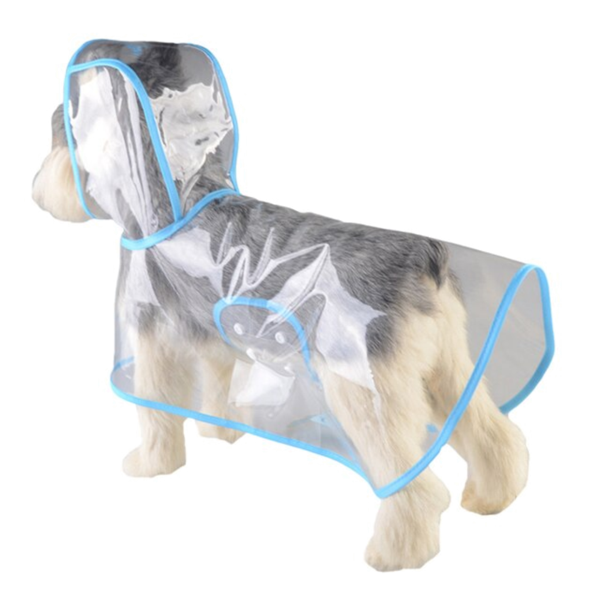 IMPERMEABLE TRANSPARENTE PARA MASCOTA