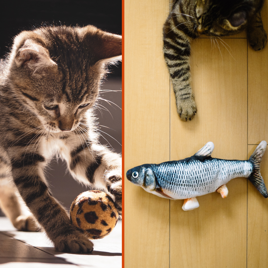 JUGUETES PARA GATOS