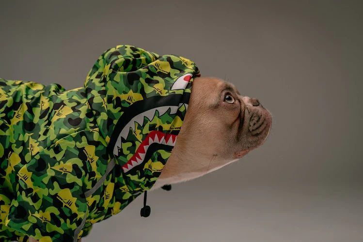 ROPA PARA MASCOTAS
