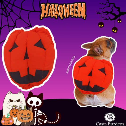 Disfraz En Forma De Calabaza Para Mascotas