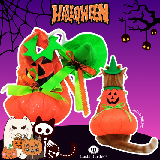 Disfraz En Forma De Calabaza Vestido Para Mascotas