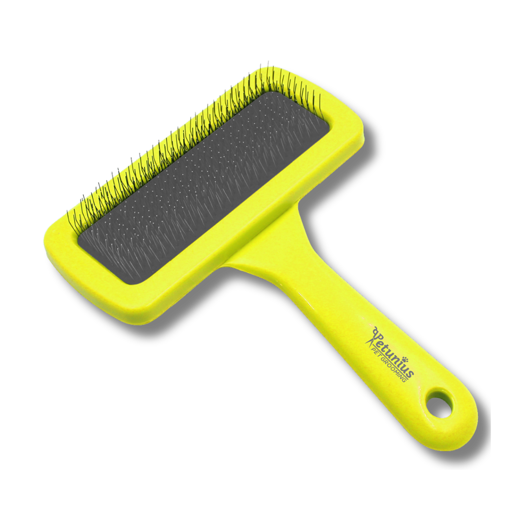 CARDA REPORZADA GDE PETUNIUS by SUNNY pelo largo y pelo corto