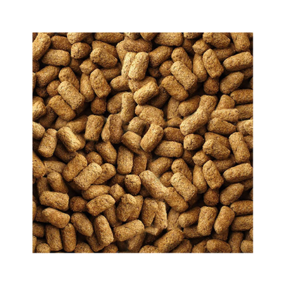 Alimento Mazuri Para Tortuga De Tierra 600 g