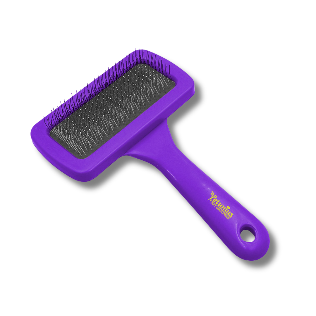 CARDA REPORZADA MINI PETUNIUS by SUNNY pelo largo y pelo corto