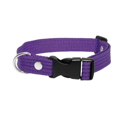 Collar Laes Liso Grueso Para  Perro