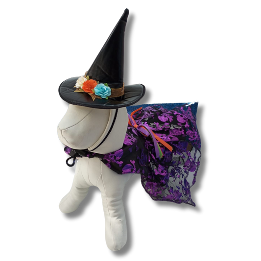 Disfraz En Forma De Bruja Para Mascotas