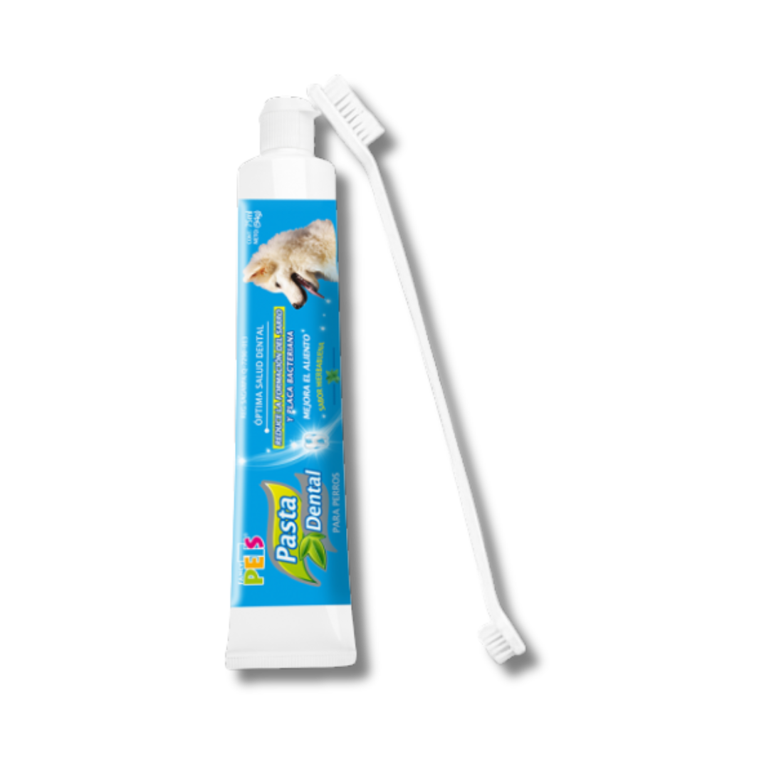 Kit Dental Fancy Pets Para Perros Incluye Pasta y Cepillo