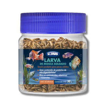 LOMAS LARVA DE MOSCA SOLDADO 30 GRS