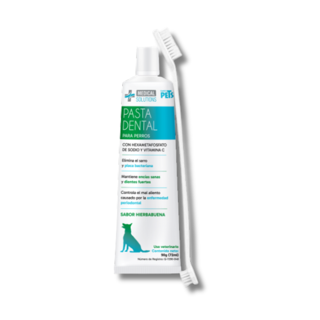 MS-KIT DENTAL ANTISARRO P/PERROS