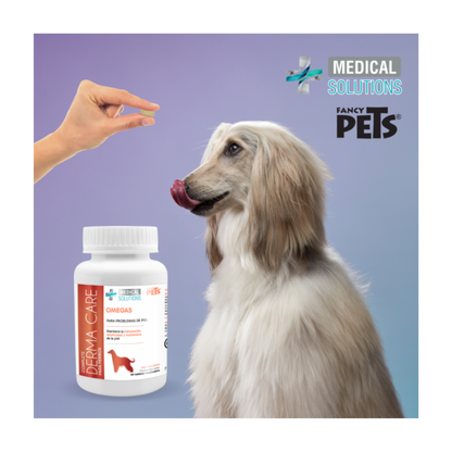 MS COMPLETE DERMA CARE P/PERROS - 60 TAB