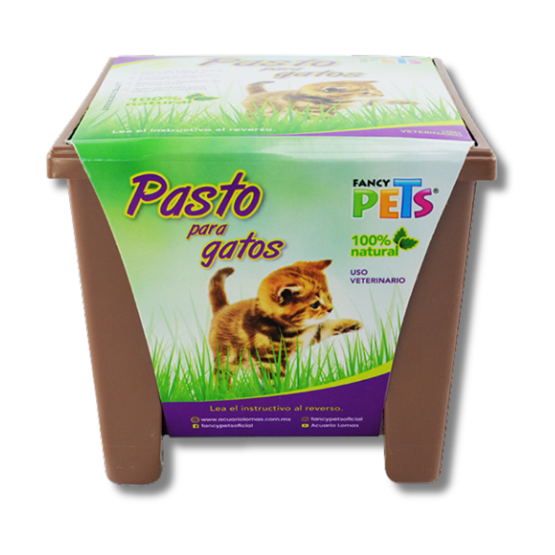 PASTO P/GATOS