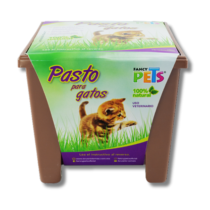 PASTO P/GATOS