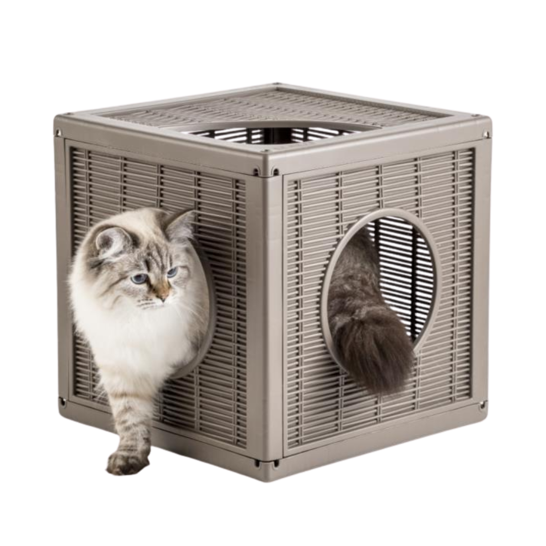 QUBLO TORTORA (CHOCOLATE)