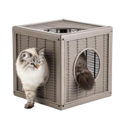 QUBLO TORTORA (CHOCOLATE)