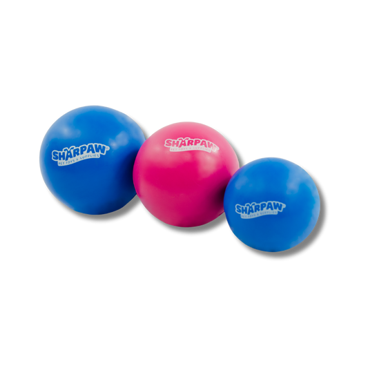 ROCKY CHUMS PELOTA CAUCHO SOLIDO 2.5