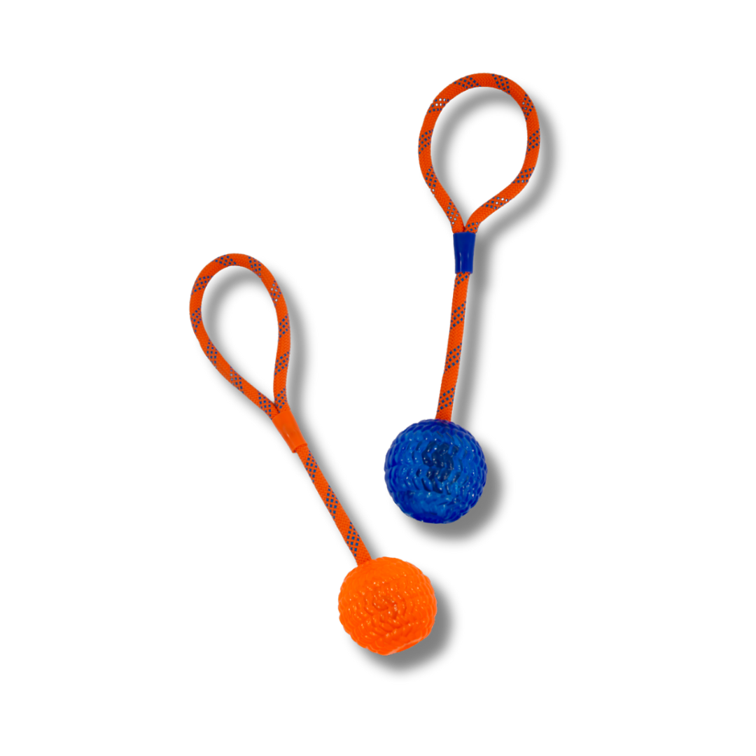 ROCKY CHUMS PELOTA DE CAUCHO CRISTALINO 2.8  CON CUERDA DE 30cm DE POLIPROPILENO BY SHARPAW