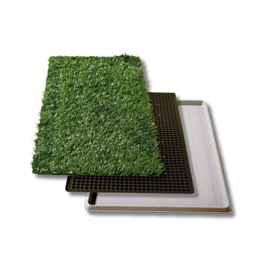 TAPETE SANITARIO IMPORTADO INDOOR PUPPY (MINI) 40 X 50cm     (incluye pasto sintetico, rejilla antihumedad y charola)