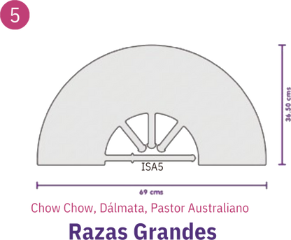 Collar Isabelino Laes Para Mascotas