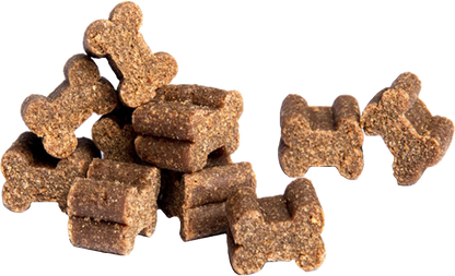NUPEC TRAINING TREATS