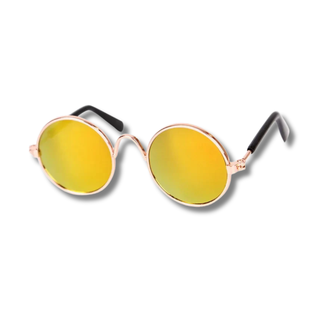 LENTES PARA MASCOTAS