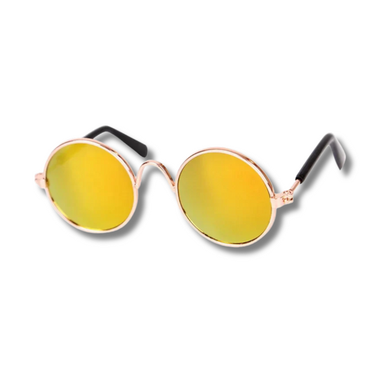 LENTES PARA MASCOTAS
