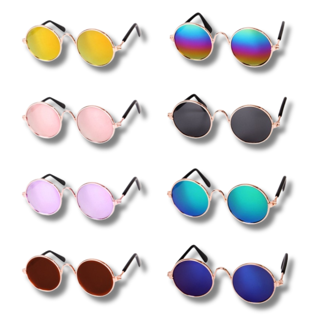 LENTES PARA MASCOTAS
