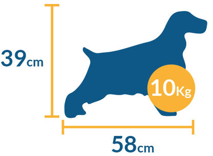 Transportadora Sunny Mediana Para Perro SPC-03