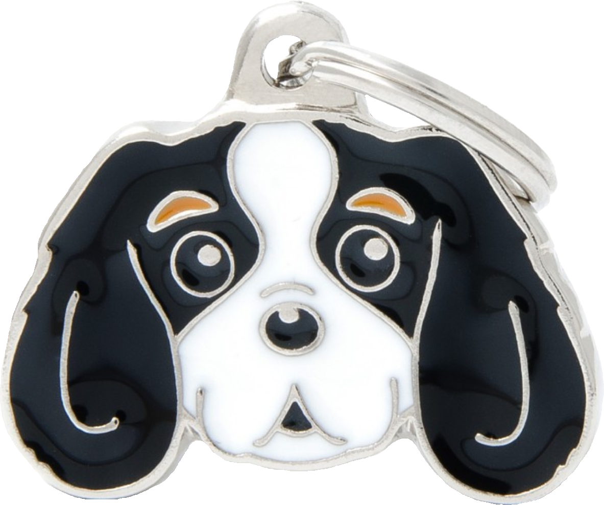 Placa De Identificación En Forma De Perro Cavalier King, Grabado Incluido