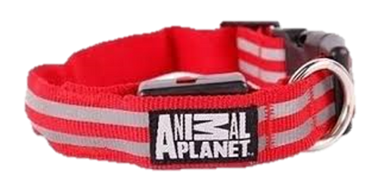 PET DOG COLLAR LED ANIMAL PLANET