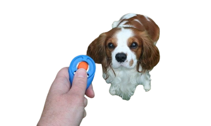 CLICKER