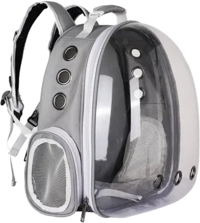 Mochila homologada para best sale perro