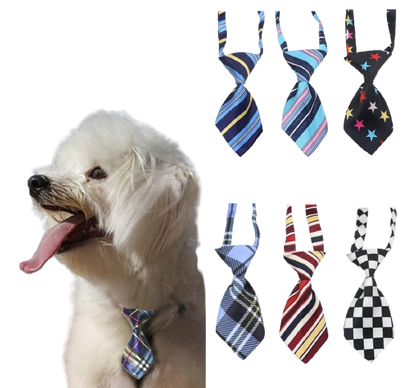 CORBATA PARA MASCOTA, DISEÑOS VARIADOS