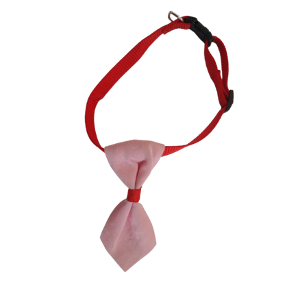 CORBATA PARA MASCOTA CON CASCABEL