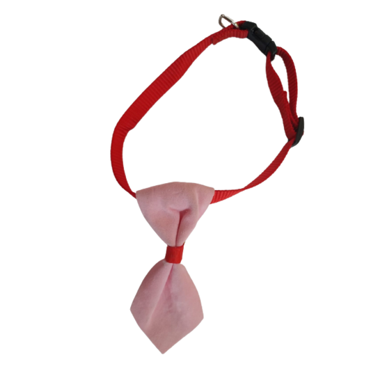 CORBATA PARA MASCOTA CON CASCABEL