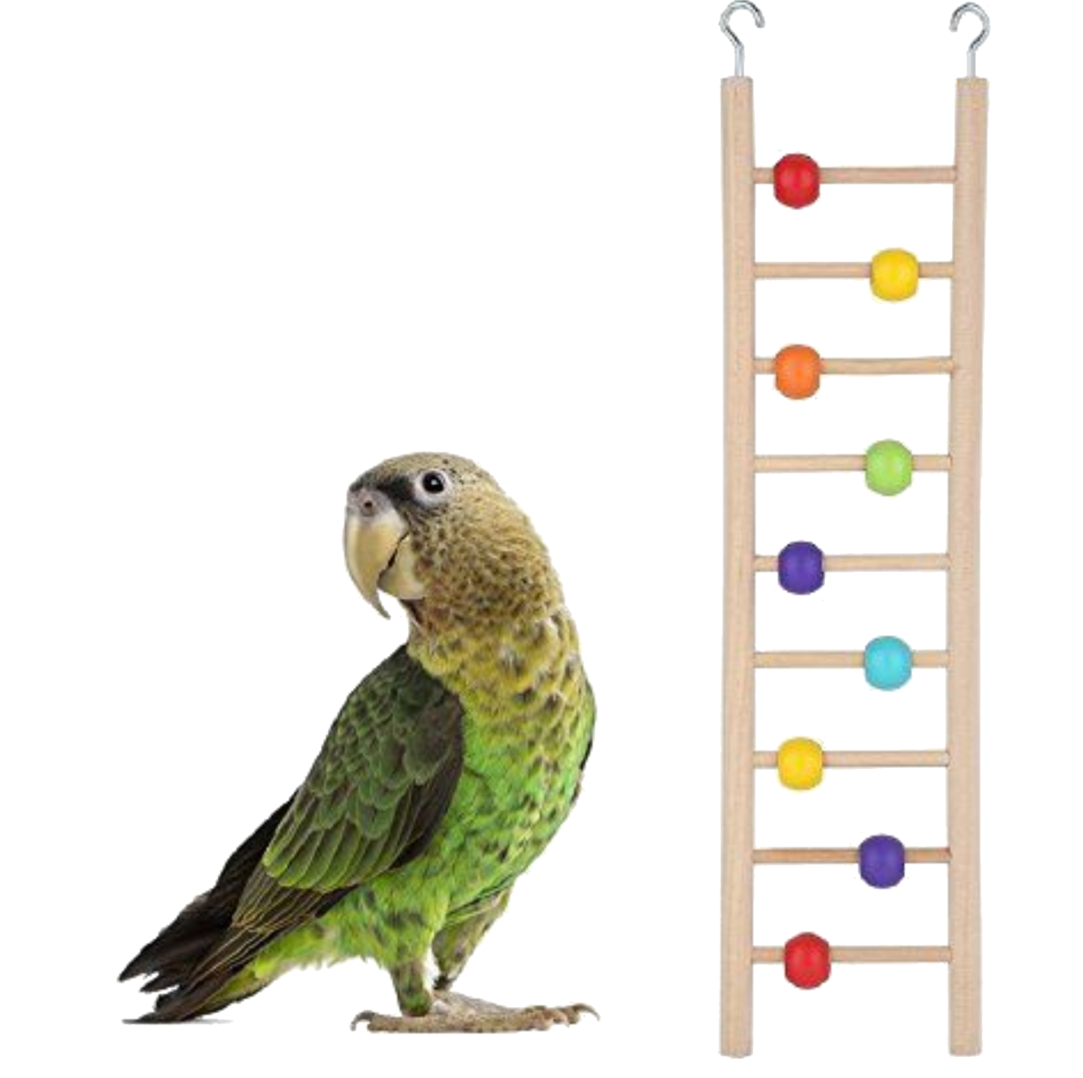 Escalera Para Pajaro