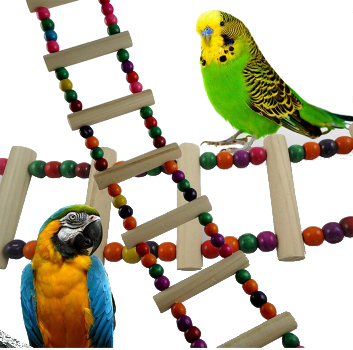 Escalera Para Pajaro