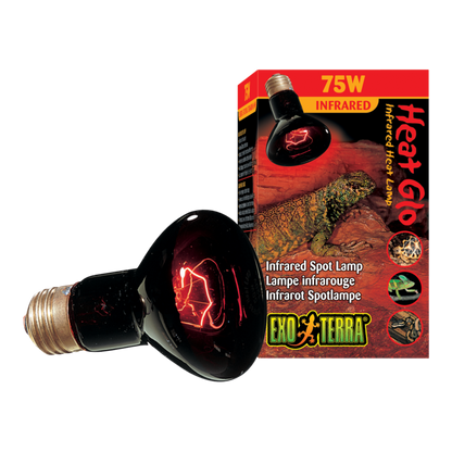 Foco Para Terrario Hagen Luz Infrarroja Exo-Terra