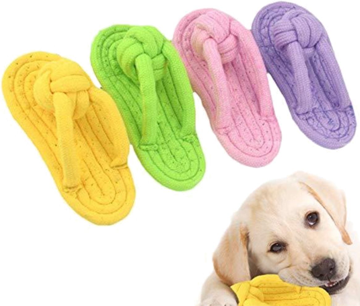 Juguete En Forma De Chancla For Pet
