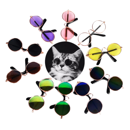 LENTES PARA MASCOTAS
